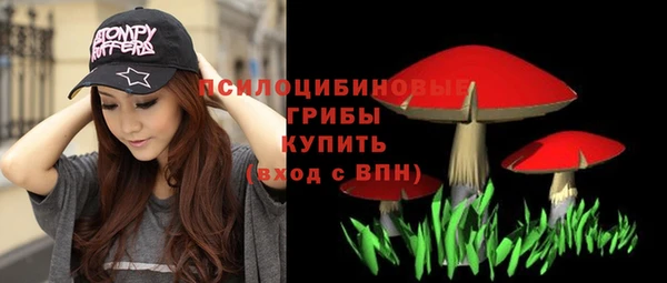 ПСИЛОЦИБИНОВЫЕ ГРИБЫ Семёнов