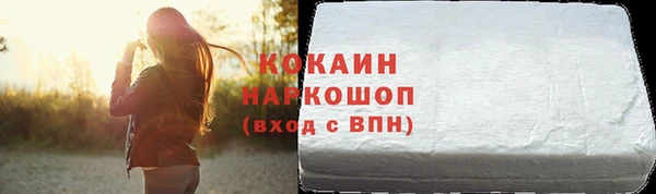 гашик Устюжна