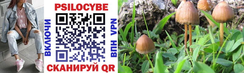 Галлюциногенные грибы Cubensis  Красково 